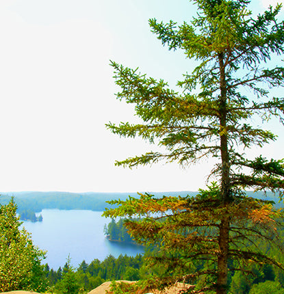 20160525_AlgonquinPark_TrrackandTowerTrail-