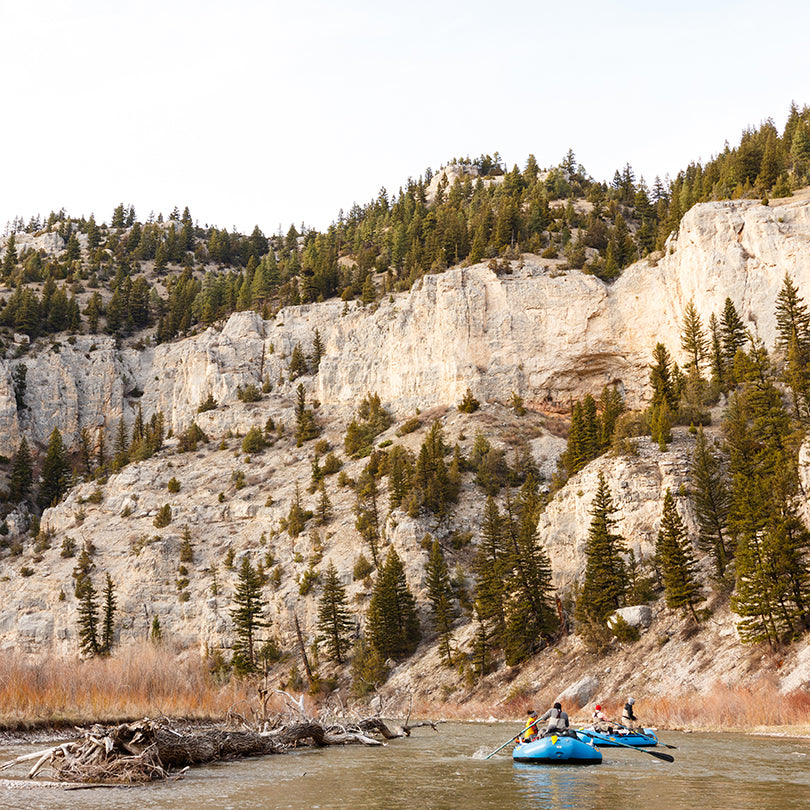 SeacatCreative-0414-1.jpg