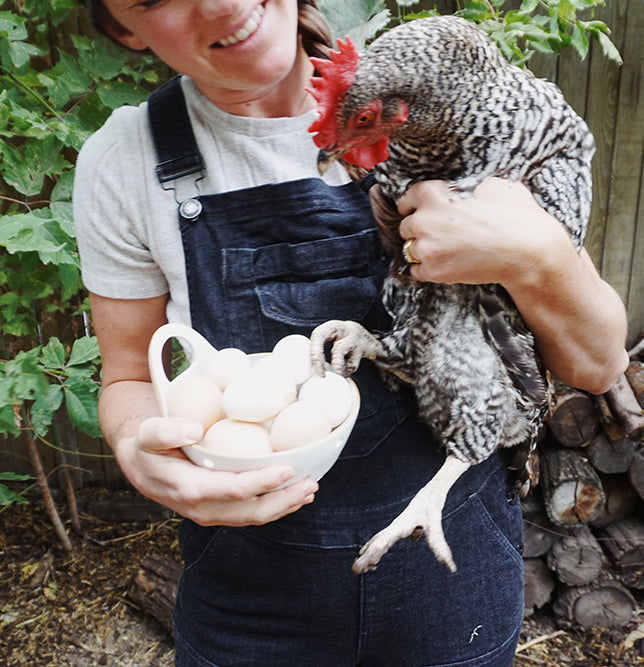 6 Tips for Starting Your Urban Garden