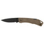 Coyote Brown